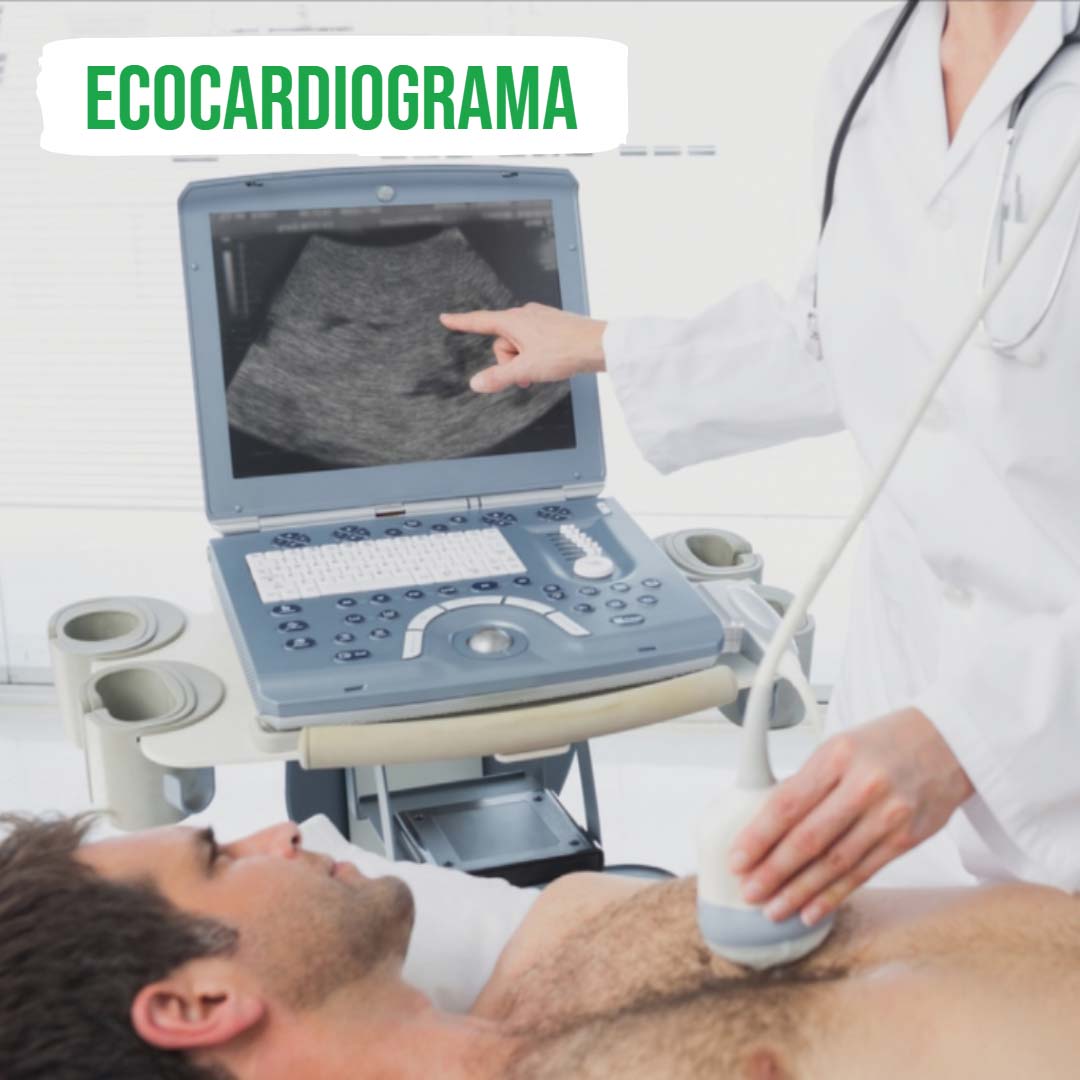LIVE - Ecocardiograma